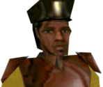 Naboo Security Guard