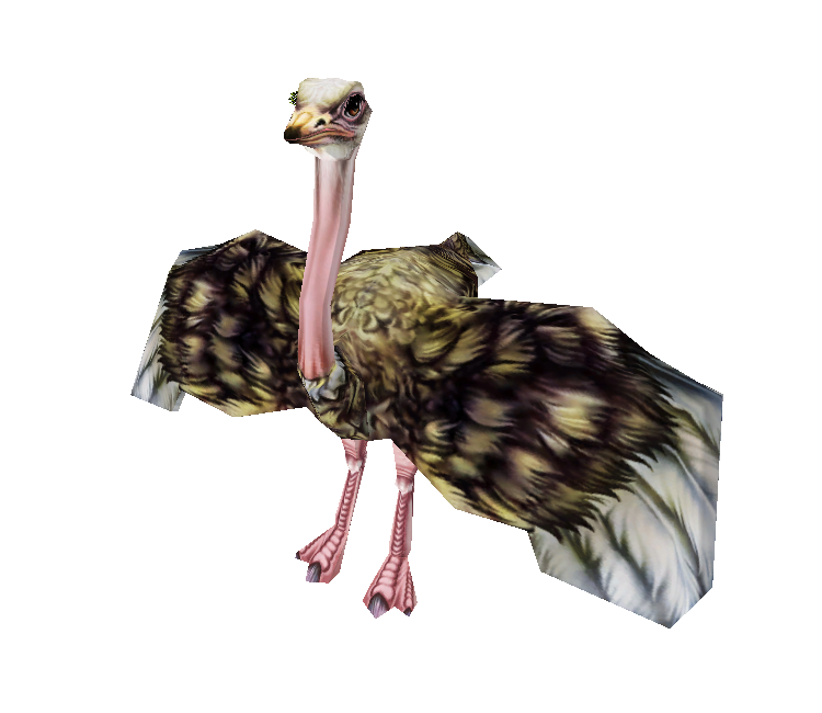 PC / Computer - Zoo Tycoon 2 - Ostrich Female - The Models Resource