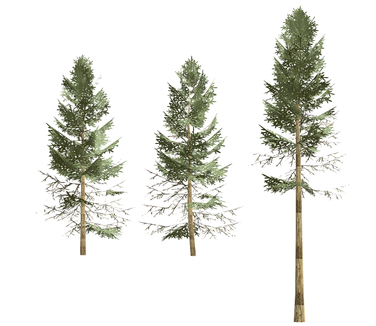 PC / Computer - FeralHeart - Tall Fir Tree - The Models Resource