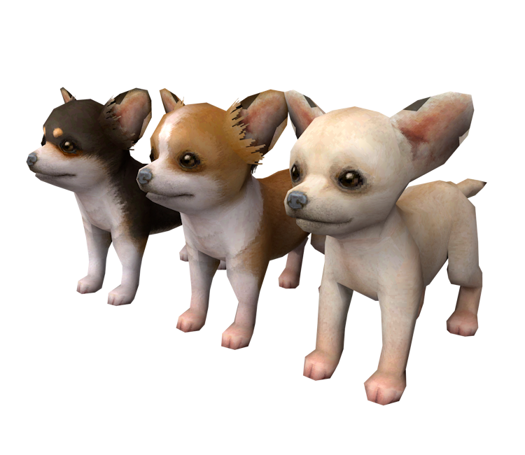 DS / DSi - Nintendogs - Chihuahua - The Models Resource