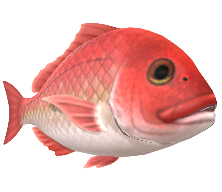 Red snapper, Animal Crossing Wiki