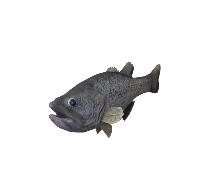 Bonefish, Wii Fishing Resort Wiki