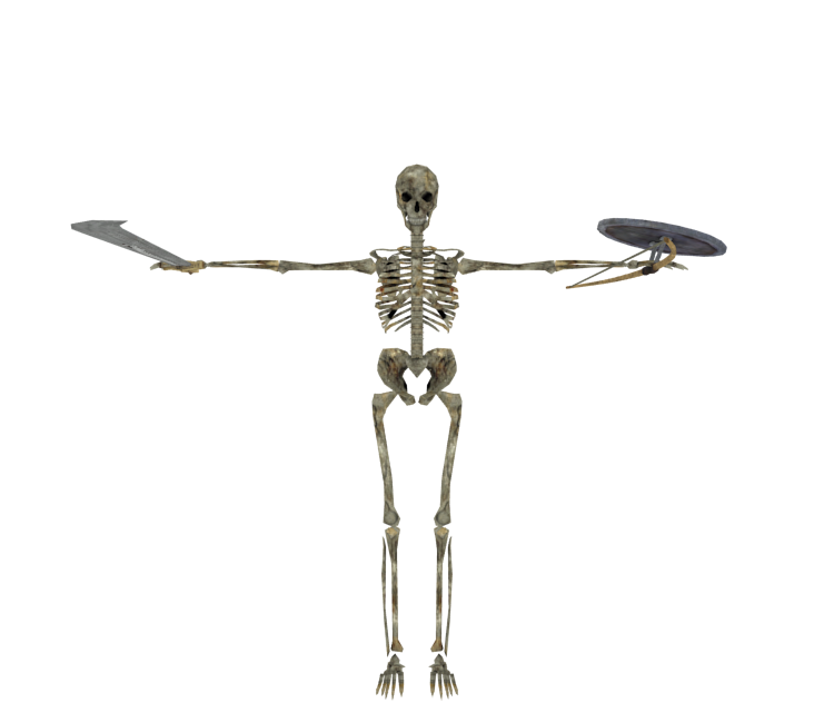 PC / Computer - Dark Souls II - Skeleton Lord - The Models Resource