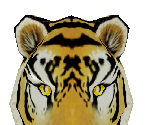 Bengal Tiger