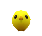 Cucco Chick