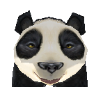 Giant Panda