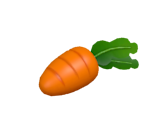 Carrot