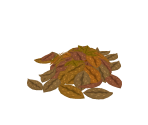 Pile of Leaves