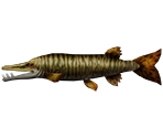 Tiger Muskie