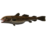 Rattlin Rapala - Firetiger