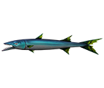 Rattlin Rapala - Firetiger