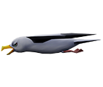 Seagull