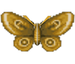 Moth