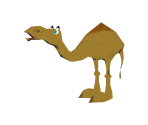 Camel