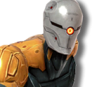 Gray Fox