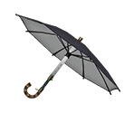 Undercover Brella