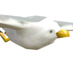 Seagull