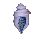 Magic Conch