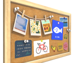 Corkboard