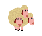 Sheep