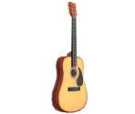 Acoustic Guitar