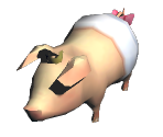 Poogie