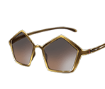 70's Sunglasses