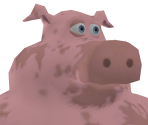 Pig