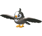 #396 Starly