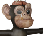 Monkey