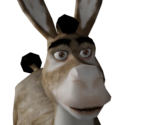 Donkey