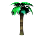 Date Palm