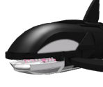 Orca