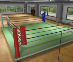 Boxing Training Room
