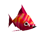 Red Fish