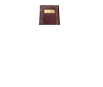Stand with Book (Alternate)