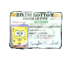 Driver's License