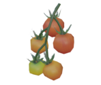 Hylian Tomato