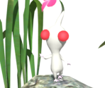 White Pikmin Trophy