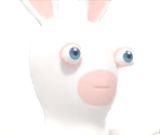 Rabbid