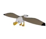 Seagull