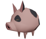 Pig