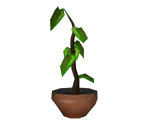 Potted Plant