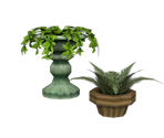 Potted Plants