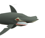 Hammerhead Shark