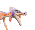 Jaggi