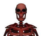 Skeleton