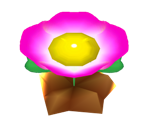 Coin Flower