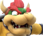 Bowser