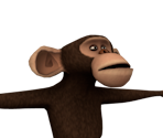 Monkey